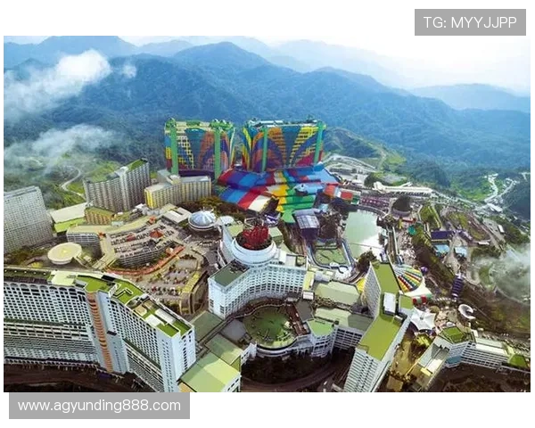 云顶集团个人资料：云顶集团的财务状况、投资项目及未来增长潜力分析