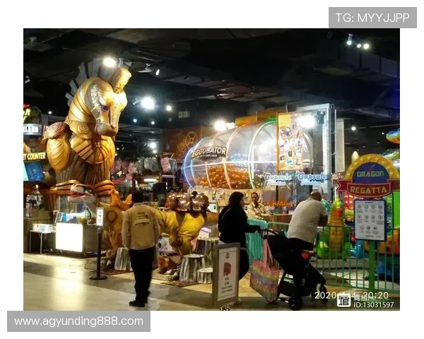 在马来西亚云顶大赌场换钱时常见的问题与解决方案，提升您的兑换体验与资金管理效率