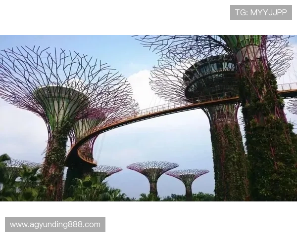 如何规划新加坡云顶高原一日游行程，轻松玩转娱乐与休闲的完美结合