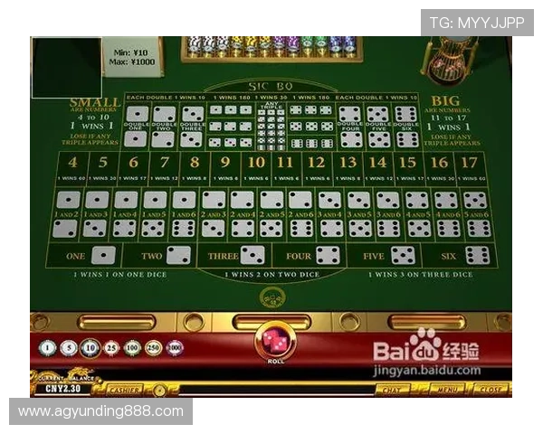 深入讲解骰宝游戏规则及常见误区避免策略提升游戏体验